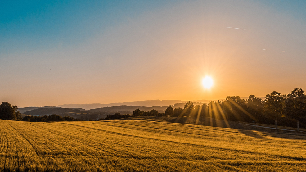 Photo of sunrise over rural field
