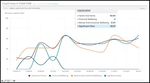 Visualization of Recovery Capital Index data